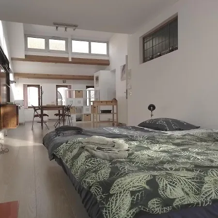 Sfeervol Rustige Loft Lägenhet *