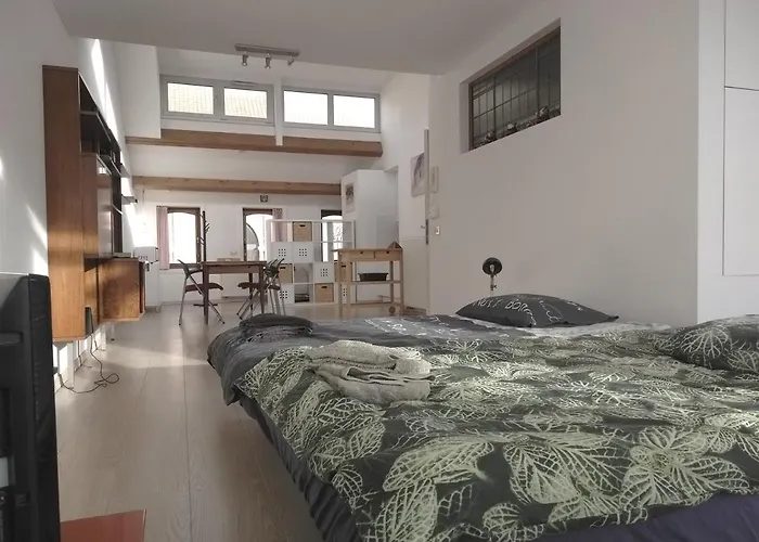 Sfeervol Rustige Loft Apartamento *